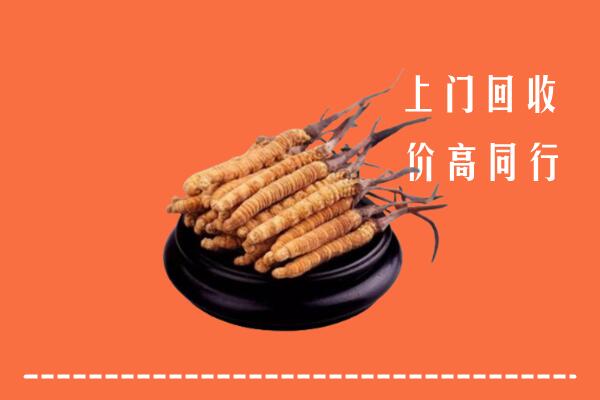 高价求购：南昌回收散虫草