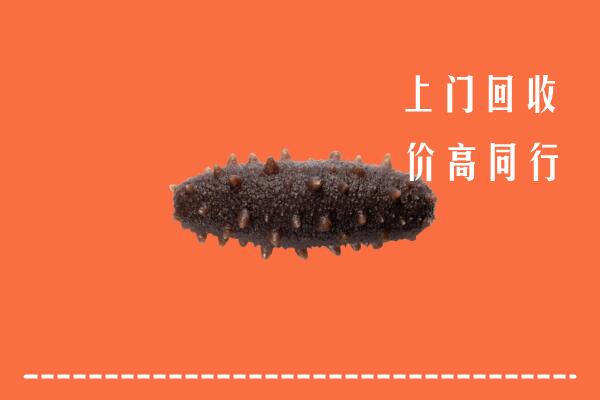高价求购：南昌回收海参