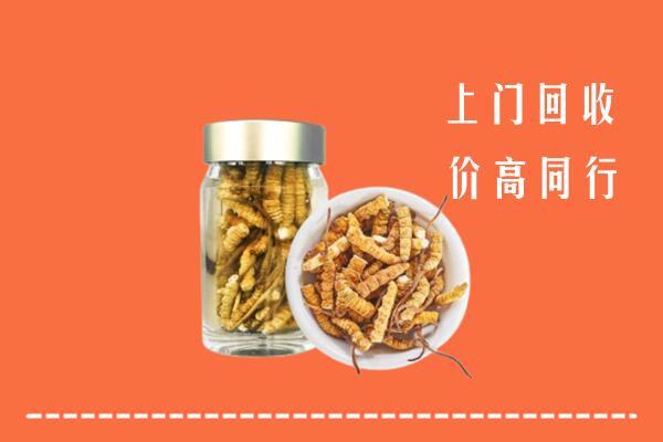 南昌回收冬虫夏草