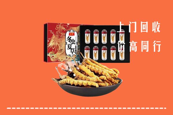 南昌回收虫草